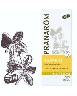 Calophylle Huile végétale BIO de Pranarom