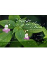 Livre "Voyage au Coeur des Fleurs de Bach" de ULRICH RAMPP