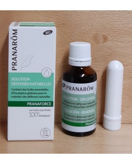 Pranastick Nez (solution bio pranarom 30 ml + 1 stick inhalateur) de AROMA ESSENTIEL