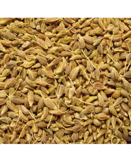 Repulsif insecte huile essentielle