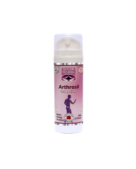 Arthro'Sil Gel bio - Vecteur Energy