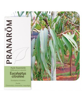 Eucalyptus citronné, Huile Essentielle de Pranarom