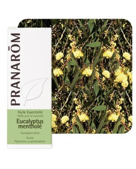 Eucalyptus mentholé Huile Essentielle de Pranarom