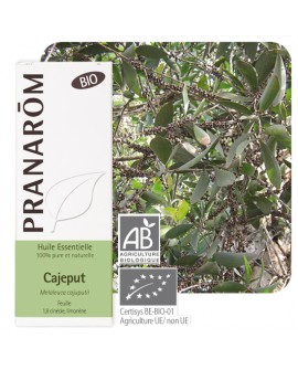 Cajeput BIO Huiles Essentielles de Pranarom