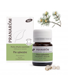Pin sylvestre BIO, Perles d'huile essentielle de Pranarom