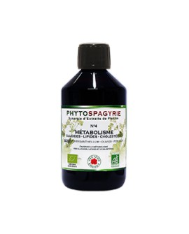 Phytospagyrie n°4  Métabolisme (Glucides - Lipides - Cholestérol) - Vecteur Energy