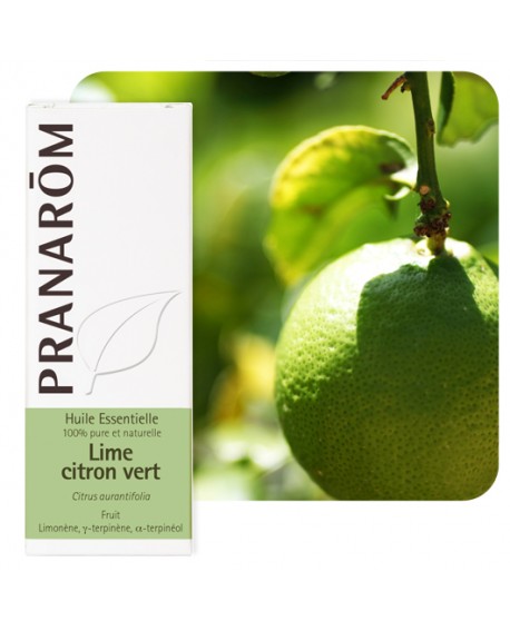 Lime Citron vert Huile Essentielle de Pranarom