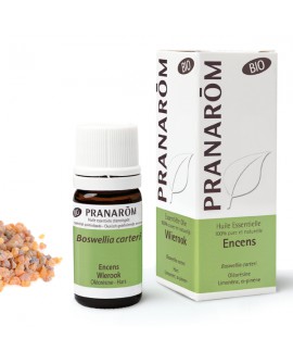 Encens Boswellia carteri BIO (Oliban) Huile Essentielle de Pranarom