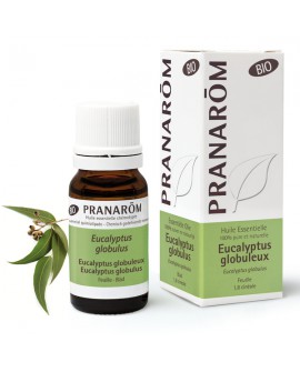 Eucalyptus globulus BIO, Huile Essentielle de Pranarom