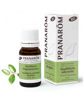 Gaulthérie odorante BIO 10 ml, Huile Essentielle de Pranarom