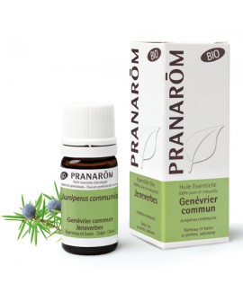Genévrier commun BIO, Huile Essentielle de Pranarom