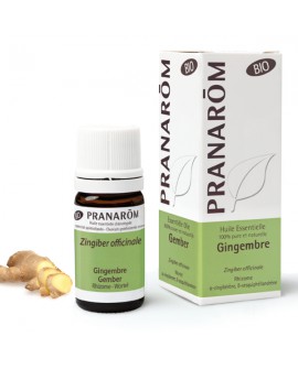 Gingembre BIO,  Huile Essentielle de Pranarom
