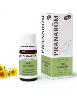 Inule Odorante BIO, Huile Essentielle de Pranarom