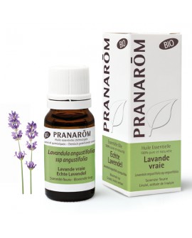 Lavande vraie BIO 10 ml, Huile Essentielle de Pranarom