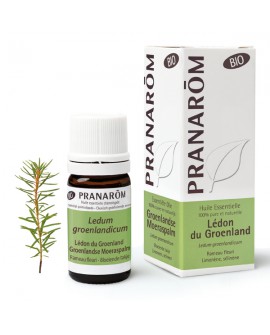 Lédon du Groenland BIO, Huile Essentielle de Pranarom
