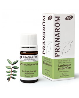 Lentisque pistachier BIO, Huile Essentielle de Pranarom