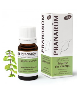 Menthe des champs BIO, Huiles Essentielles de Pranarom