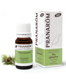 Pin sylvestre BIO Huile Essentielle de Pranarom