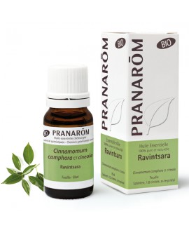 Ravintsara BIO 10 ml Huile Essentielle de Pranarom