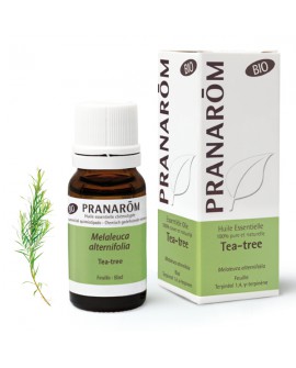 Tea tree BIO 10 ml  Huile Essentielle de Pranarom
