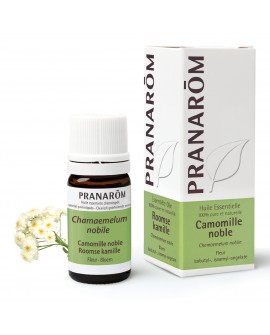 Camomille Noble (Romaine) Huile Essentielle de Pranarom