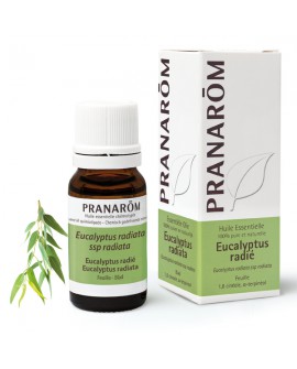 Eucalyptus radiata Huile Essentielle de Pranarom