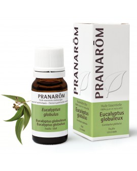 Eucalyptus globulus, Huile Essentielle de Pranarom