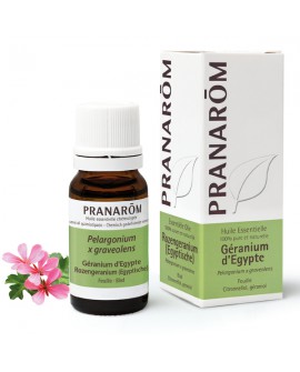Géranium d'Egypte (Rosat) Huile Essentielle de Pranarom