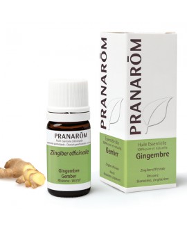 Gingembre Huile Essentielle de Pranarom