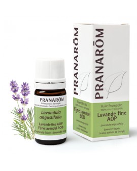 Lavande fine AOP  Huile Essentielle de Pranarom