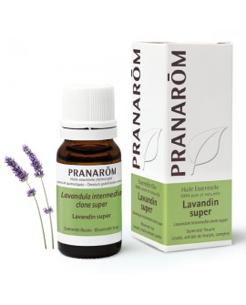 Lavandin clone super Huile Essentielle de Pranarom