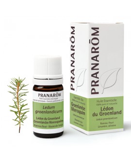Lédon du Groenland Huile Essentielle de Pranarom
