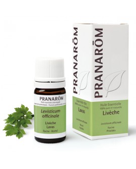 Livéche Huile essentielle de Pranarom