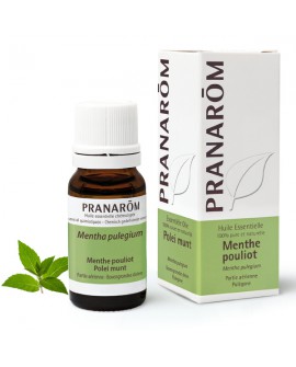 Menthe pouliot Huile Essentielle de Pranarom