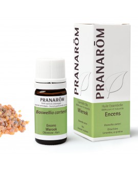 Encens Boswellia carteri (Oliban) Huile Essentielle de Pranarom