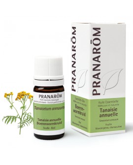 Tanaisie Annuelle Huile Essentielle de Pranarom