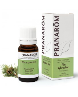 Pin sylvestre Huile Essentielle de Pranarom