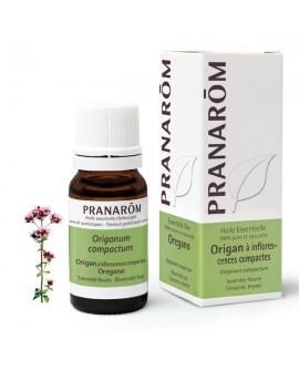 Origan à inflorescences compactes BIO, Huiles Essentielle de Pranarom