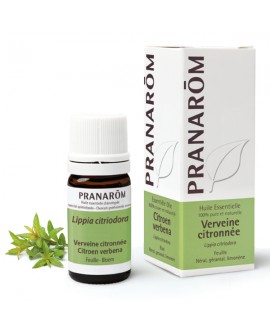 Verveine citronnée (Odorante), Huile essentielle de Pranarom