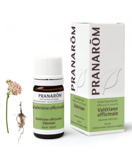 Valériane officinale, Huile Essentielle de Pranarom