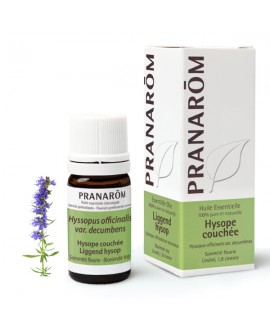 Hysope couchée, Huile Essentielle de Pranarom