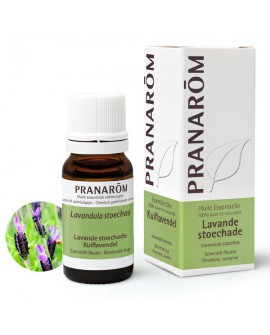 Lavande Stoechade papillon Huile Essentielle de Pranarom