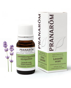 Lavande vraie Huile Essentielle de Pranarom