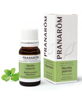 Menthe poivrée Huile Essentielle de Pranarom