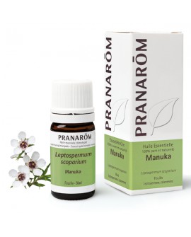 Manuka Feuille 5 ml, Huile Essentielle de Pranarom