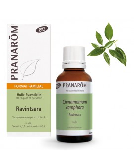 Ravintsara BIO 30 ml - Huile Essentielle de Pranarom