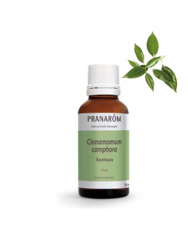 Ravintsara 30 ml Huile Essentielle de Pranarom