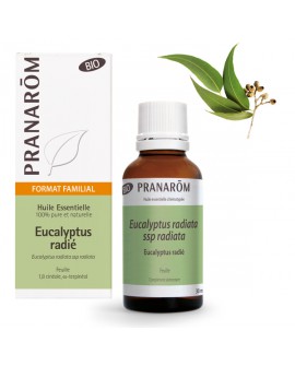 Eucalyptus radiata BIO 30 ml, Huile Essentielle de Pranarom