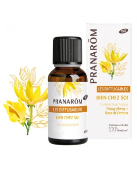 Bien chez soi, les diffusables de pranarom