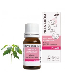 Diffusion assainissant, mélange Bio pour diffuseur, PranaBB